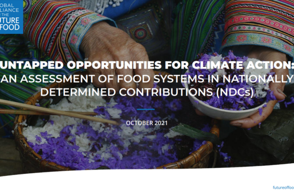 Projects Archive - Climate Focus