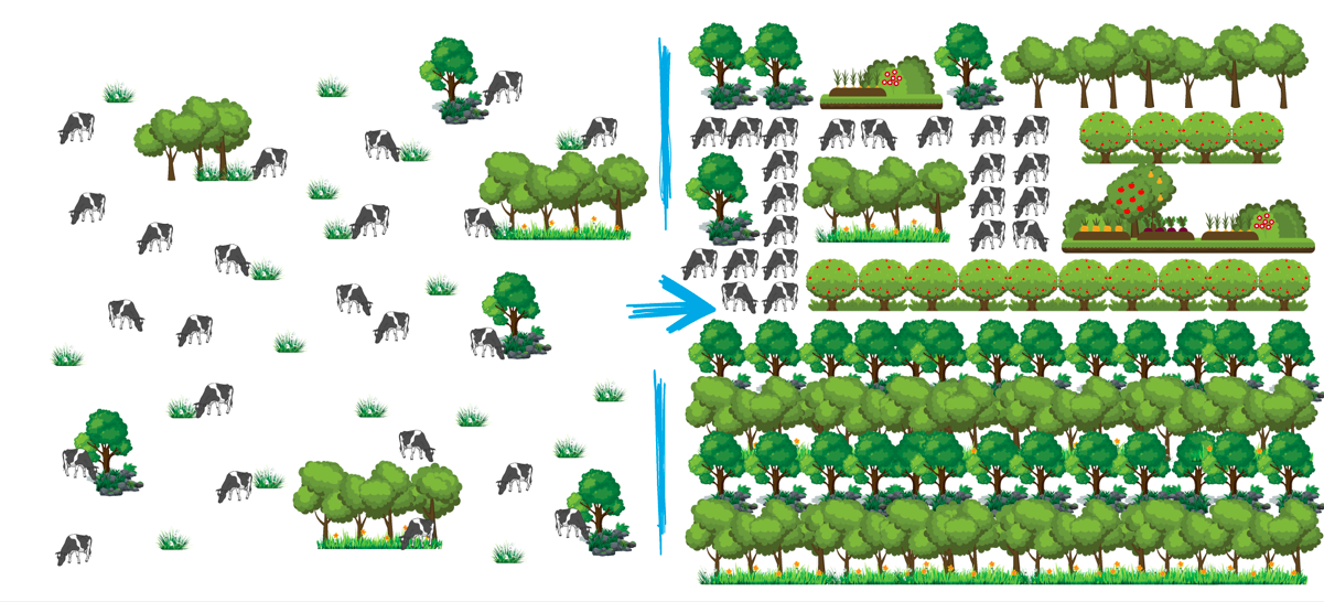 Making a Pokemon Sprite – The MV Current