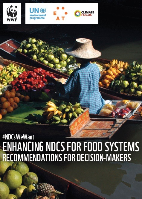 Enhancing Ndcs For Food Systems Recommendations For Decision Makers