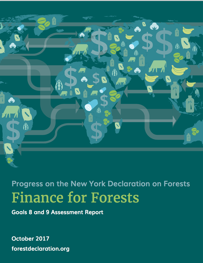 Progress on the New York Declaration on Forests Finance for Forests