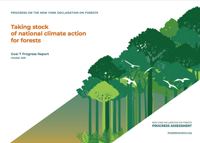 2023 Forest Declaration Assessment: Off track and falling behind - Forest  Declaration