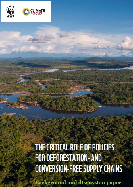 The critical role of policies for deforestation and conversion-free ...