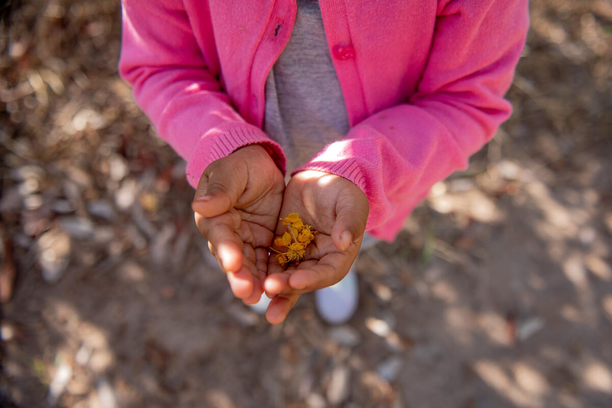 Home 2024 - Climate Focus