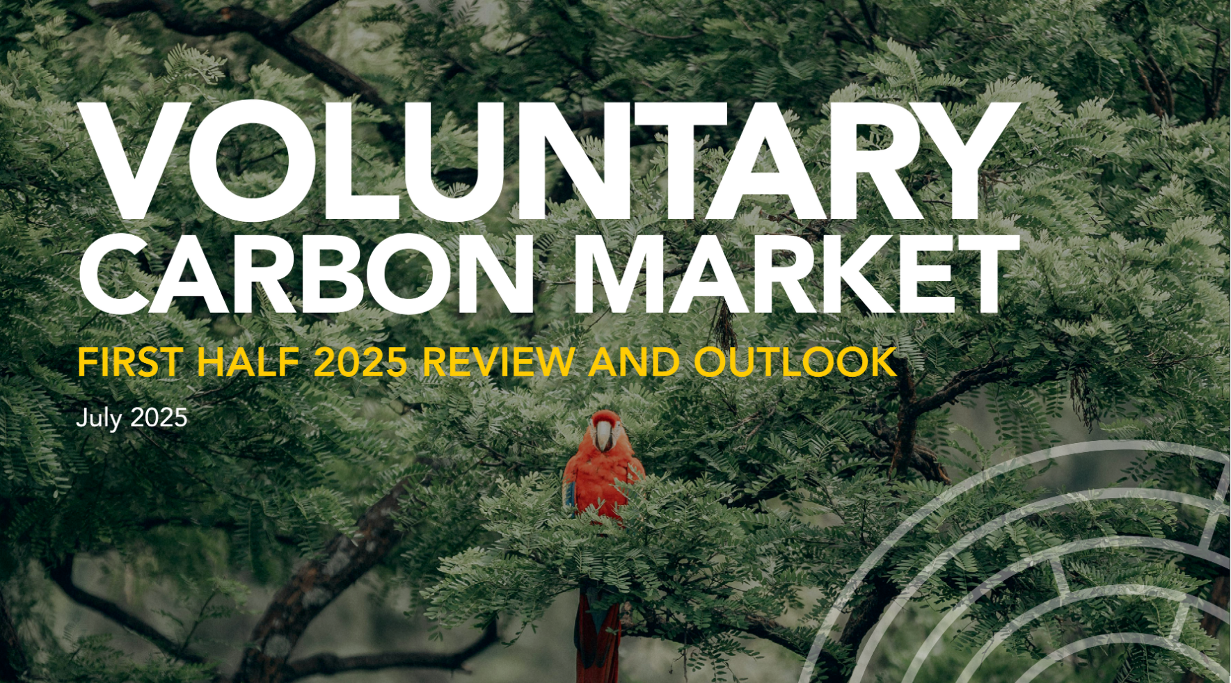 First Half 2025 VCM Review and Outlook - Climate Focus